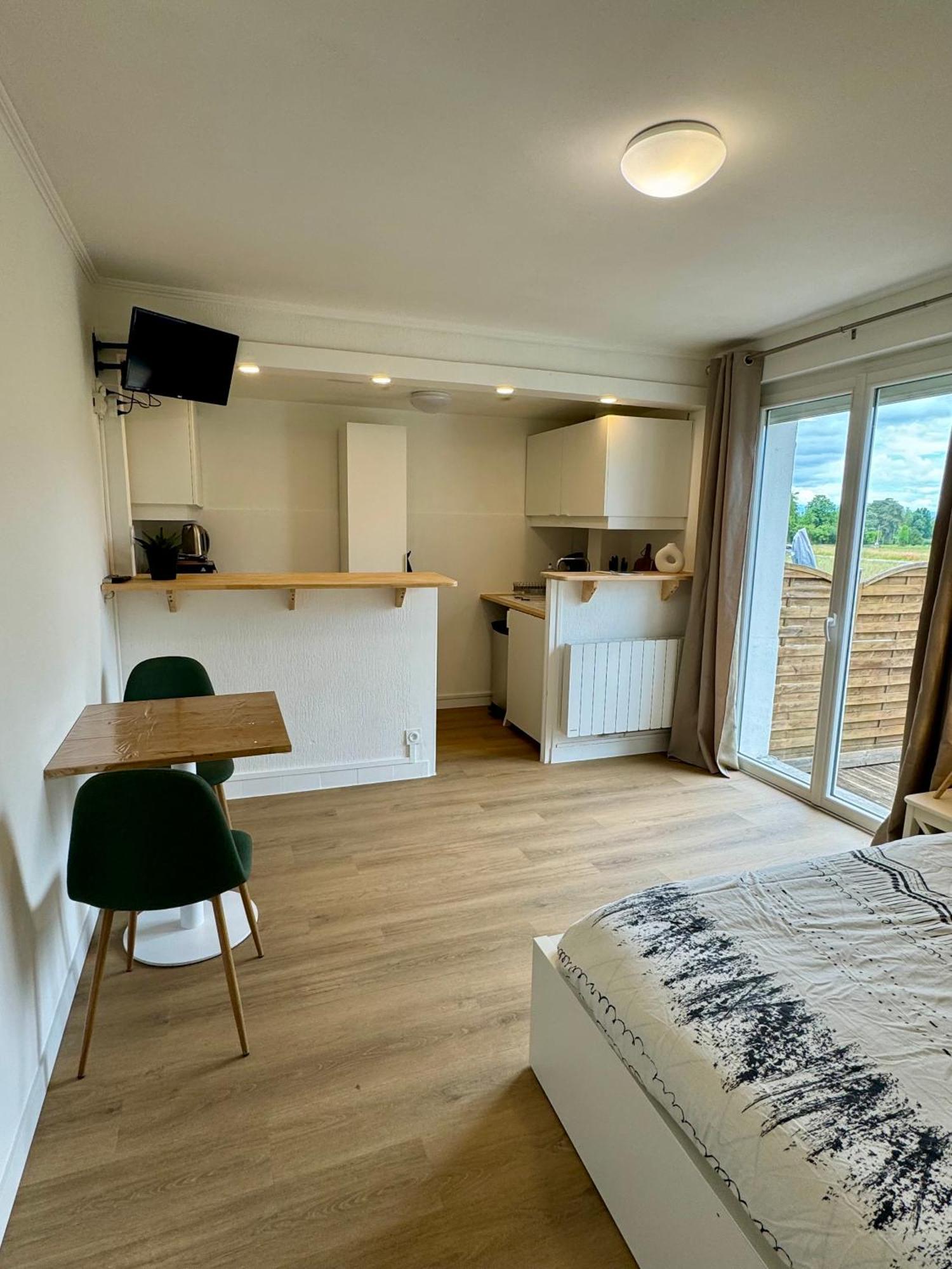 Studio Avec Jardin Proche Lac Saint-Jorioz Ngoại thất bức ảnh